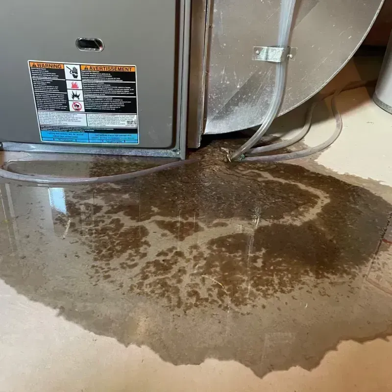 Appliance Leak Cleanup in Bedford, NH